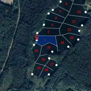 zvejybos-vietu-rezervacija-zelva-1-sektorius