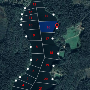 zvejybos-vietu-rezervacija-zelva-16-sektorius