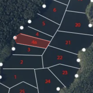 4A Sektorius