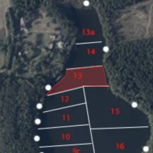 13 Sektorius
