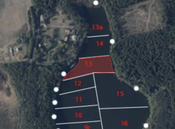 13 Sektorius